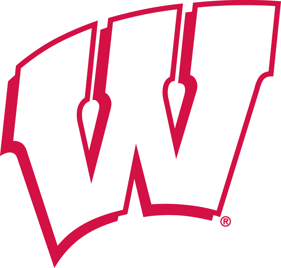 Wisconsin Badgers 1991-2017 Alternate Logo diy DTF decal sticker